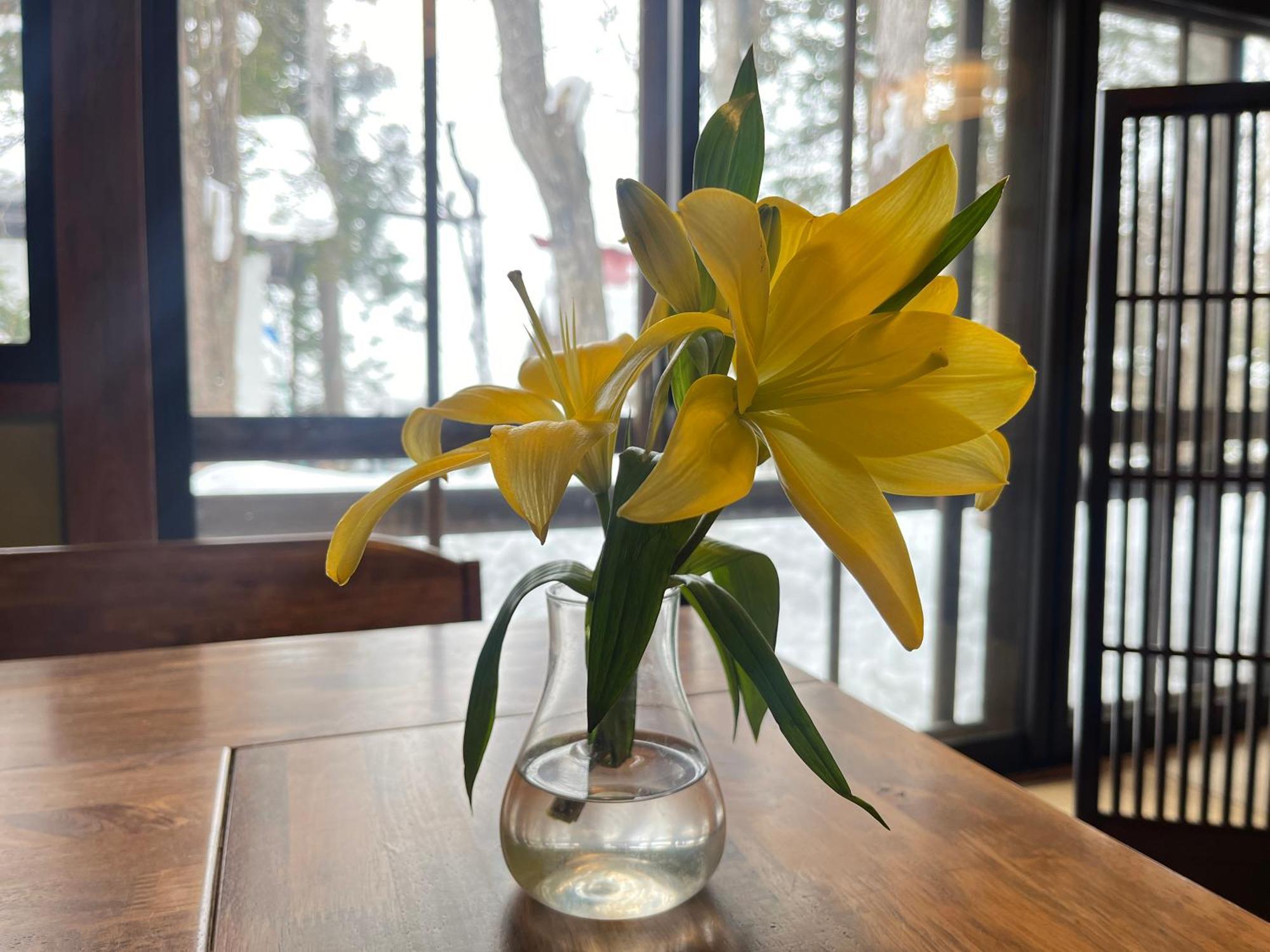 傳統日式旅館 Yokokura 3*
